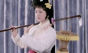 何晴遗产争夺战打响！继子与亲儿对簿公堂，遗嘱内容让人心寒