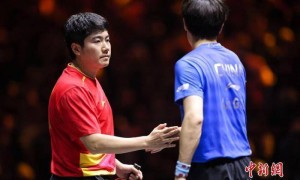 WTT中国大满贯赛现场直击：掌声致敬对手 也致敬每一份坚持